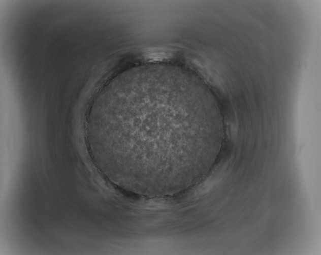 X0000113961393200910021516