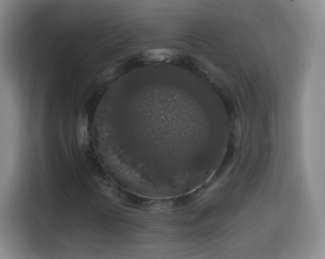 X0000113961394200910021516