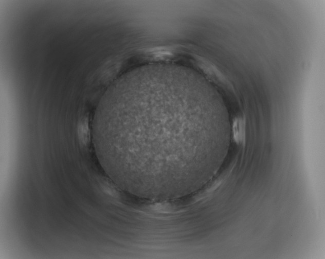 X0000113961395200910021516