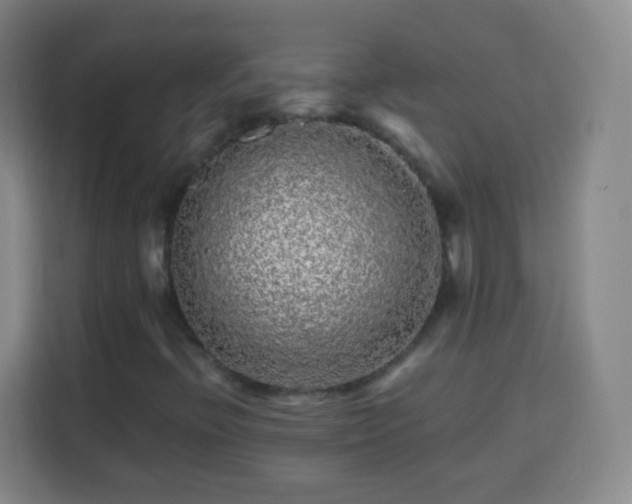 X0000113961396200910021516