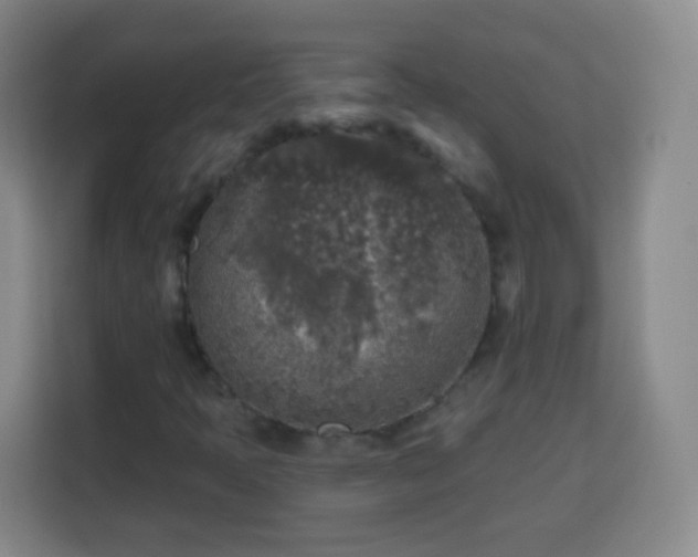 X0000113961397200910021516