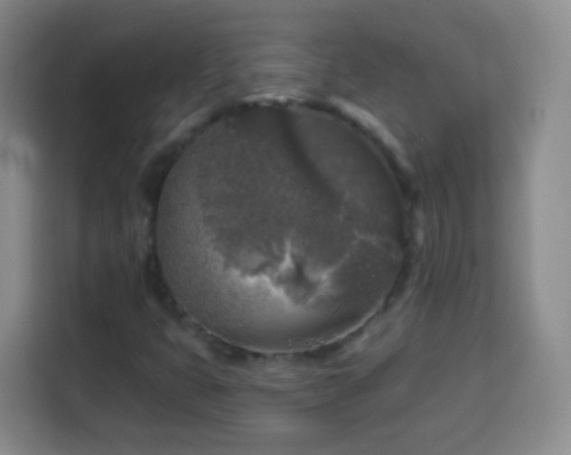 X0000113961399200910021516