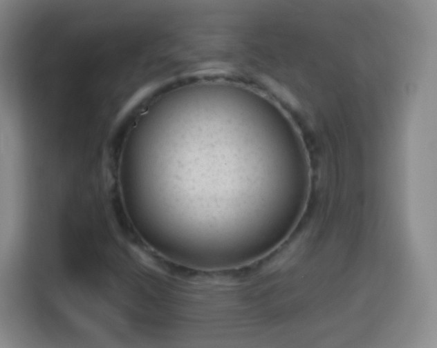 X0000113961400200910021516