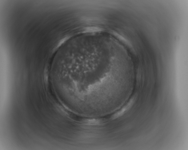 X0000113961401200910021516