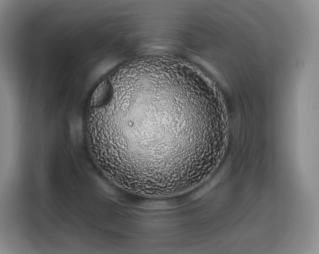 X0000113961402200910021516