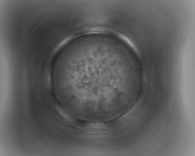 X0000113961403200910021516