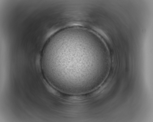 X0000113961404200910021516