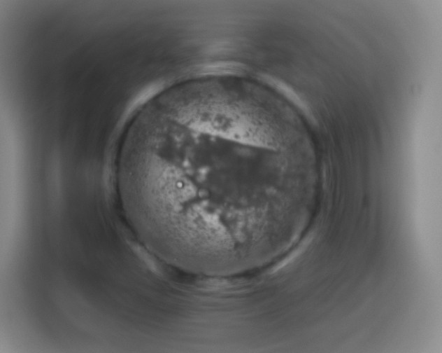 X0000113961405200910021516