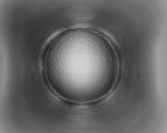 X0000113961406200910021516