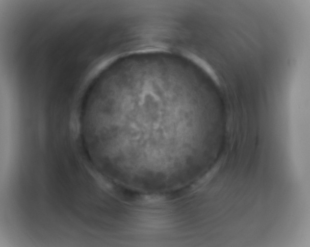 X0000113961407200910021516