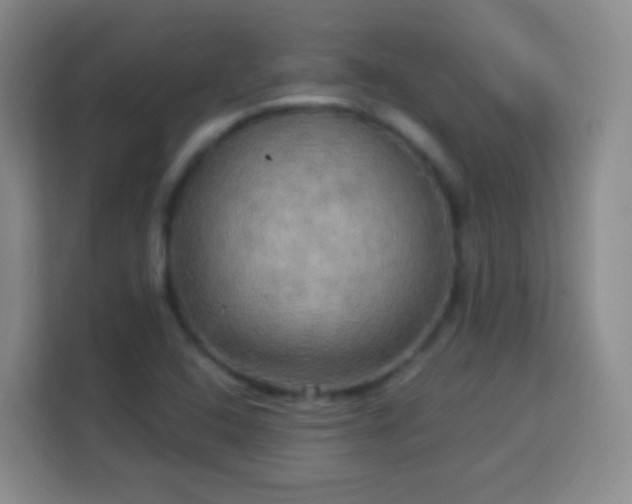 X0000113961408200910021516