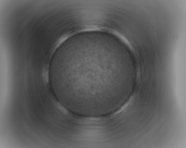 X0000113961409200910021516