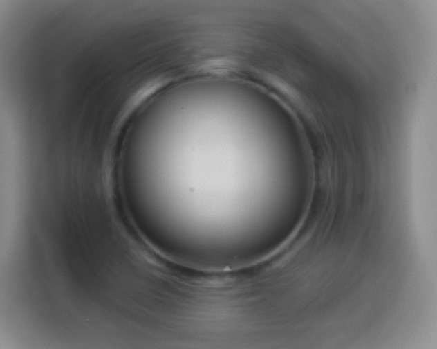 X0000113961410200910021516