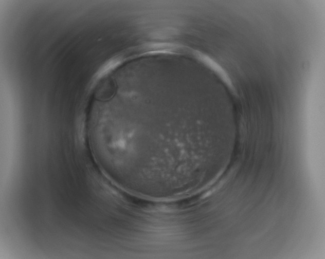 X0000113961411200910021516