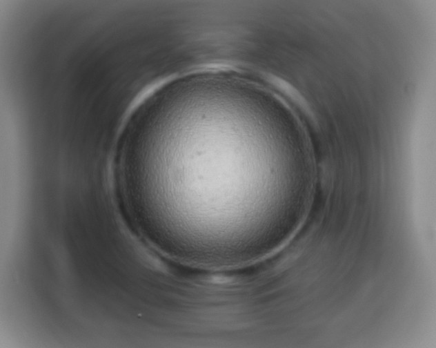 X0000113961412200910021516