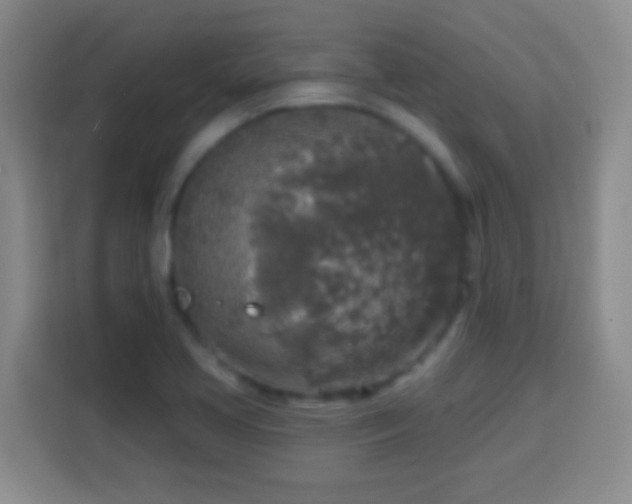 X0000113961413200910021516