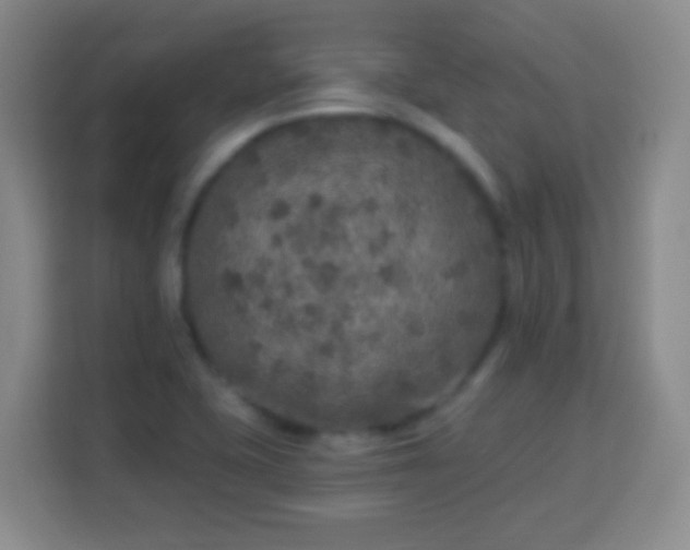 X0000113961415200910021516