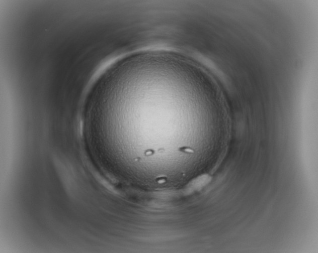 X0000113961416200910021516