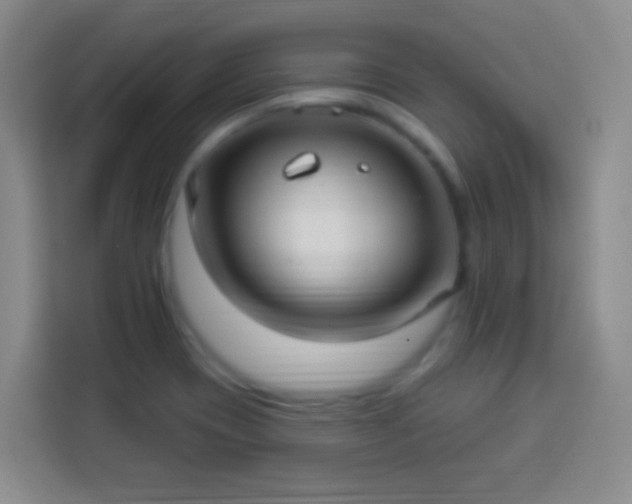 X0000113961417200910021516