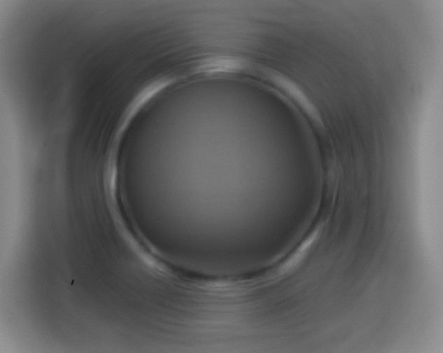 X0000113961418200910021516