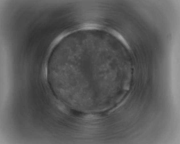 X0000113961419200910021517