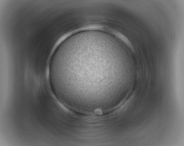 X0000113961420200910021517