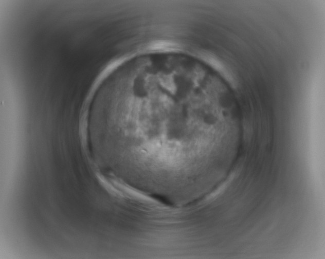 X0000113961421200910021517