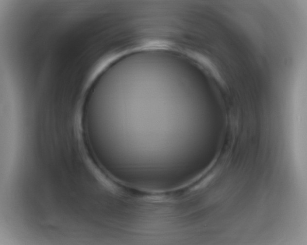 X0000113961422200910021517