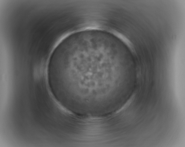 X0000113961423200910021517