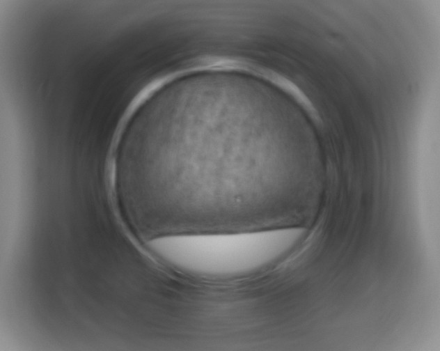 X0000113961424200910021517