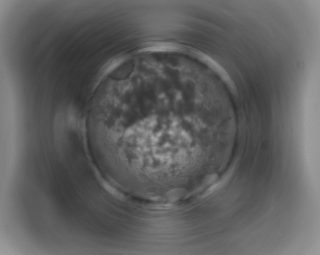 X0000113961425200910021517