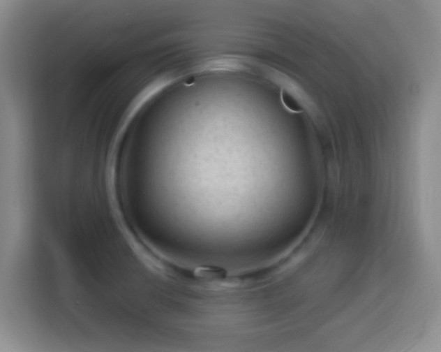 X0000113961426200910021517