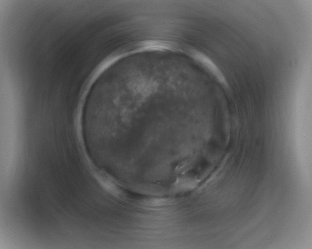 X0000113961427200910021517