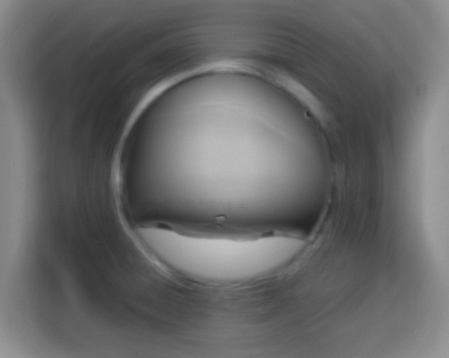 X0000113961428200910021517