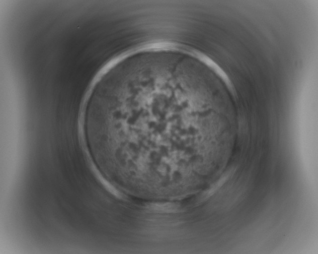 X0000113961429200910021517