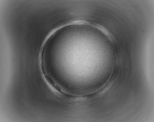 X0000113961430200910021517