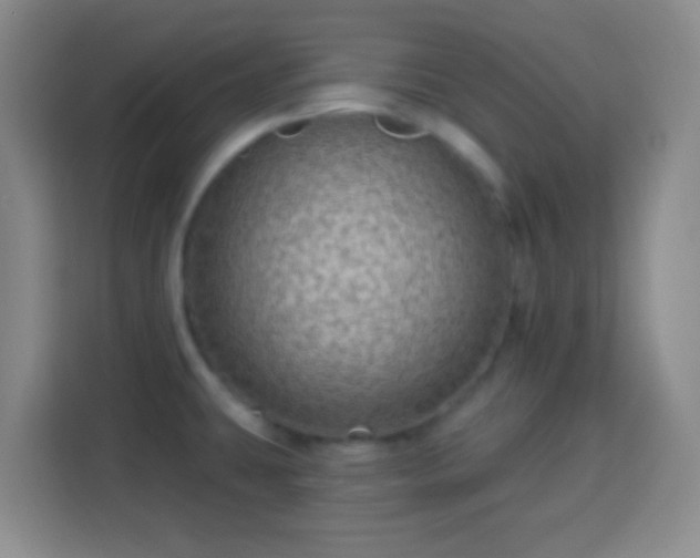 X0000113961431200910021517