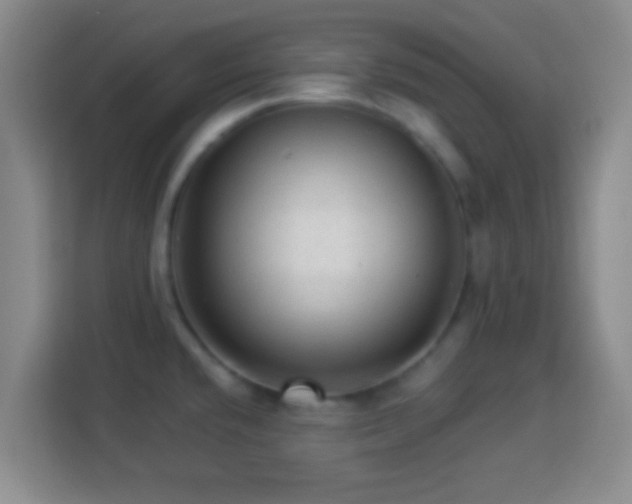 X0000113961432200910021517