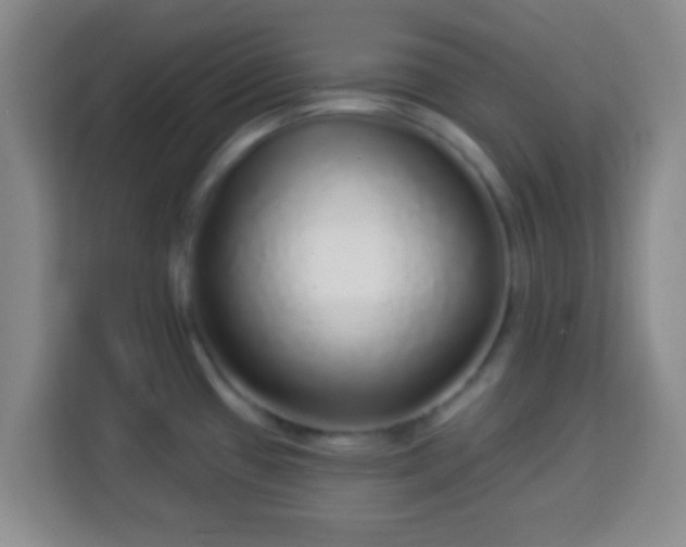 X0000113961433200910021517