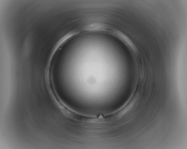 X0000113961434200910021517