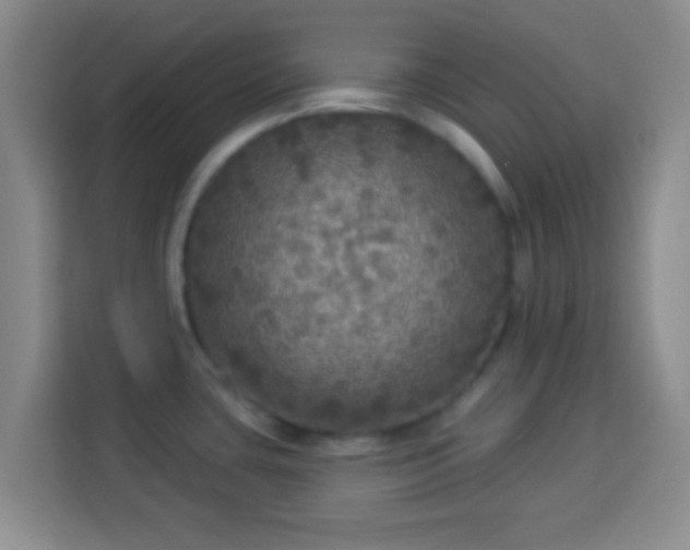 X0000113961435200910021517