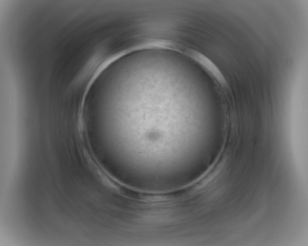 X0000113961436200910021517