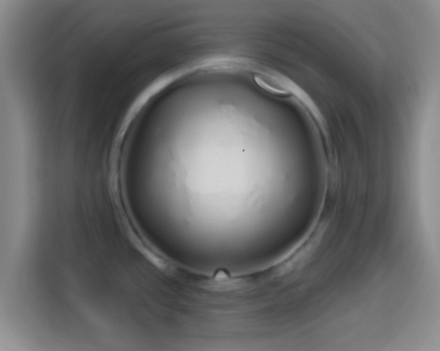 X0000113961437200910021517