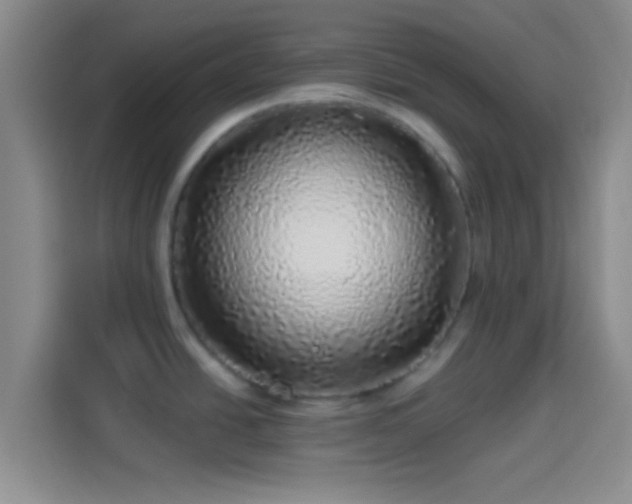 X0000113961438200910021517