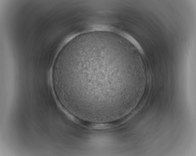 X0000113961439200910021517