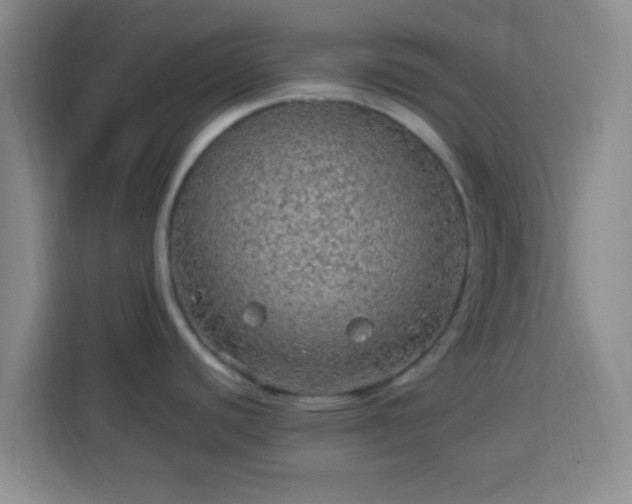 X0000113961440200910021517