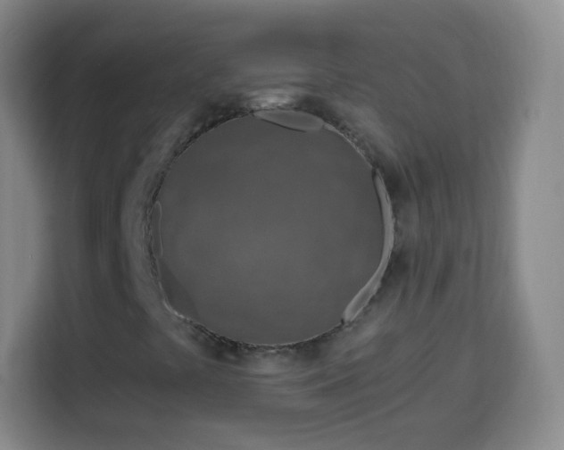 X0000113961441200910021516