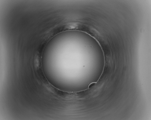 X0000113961442200910021516