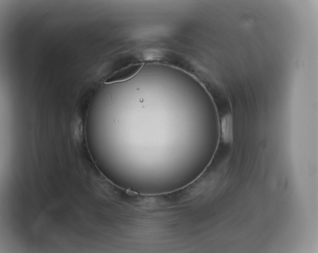 X0000113961443200910021516