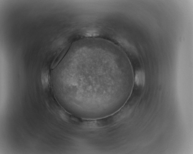 X0000113961444200910021516